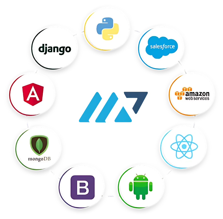 Why choose MicroPyramid for Custom Software Development